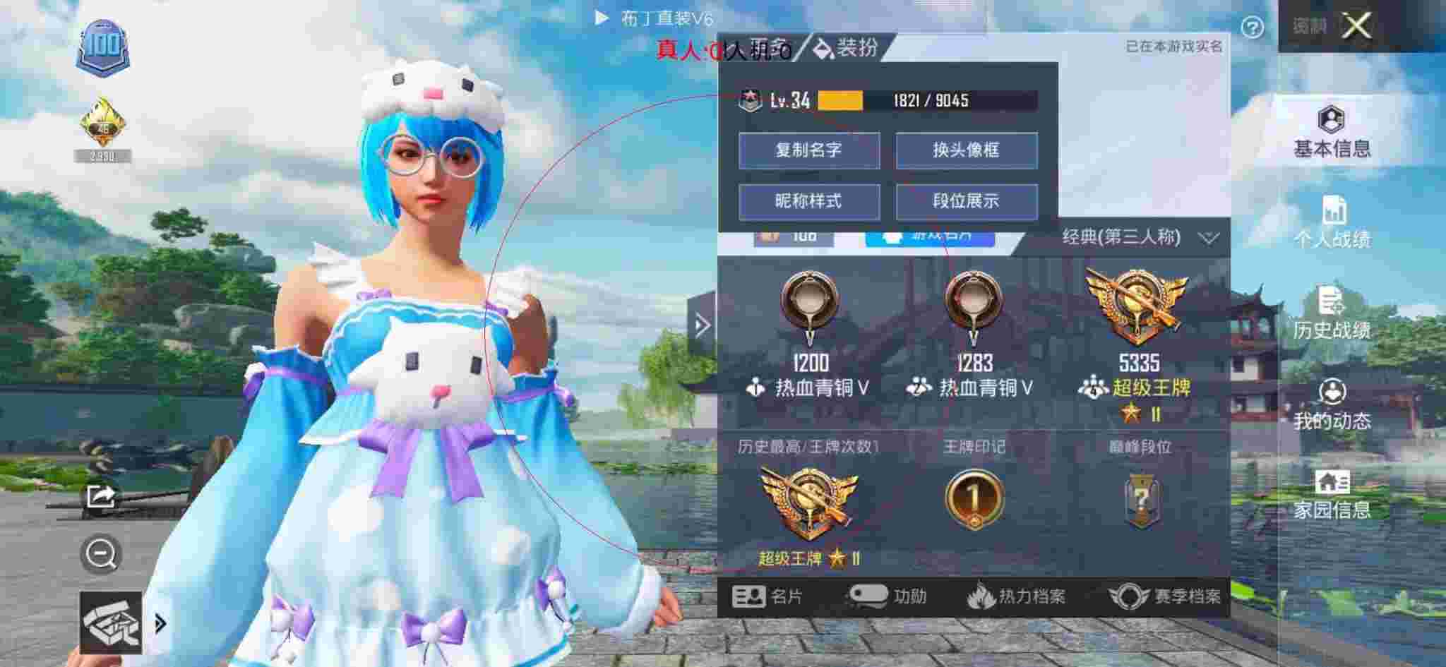 和平精英布丁直装透视 - 发卡网自动发卡平台免费辅助预览图